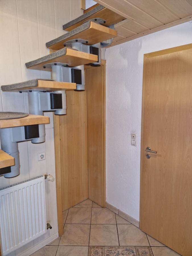 Ferienwohnung Blumenshein Bei Speyer Karlsruhe Familienfreundlich 5 Pers Zeiskam Exterior photo