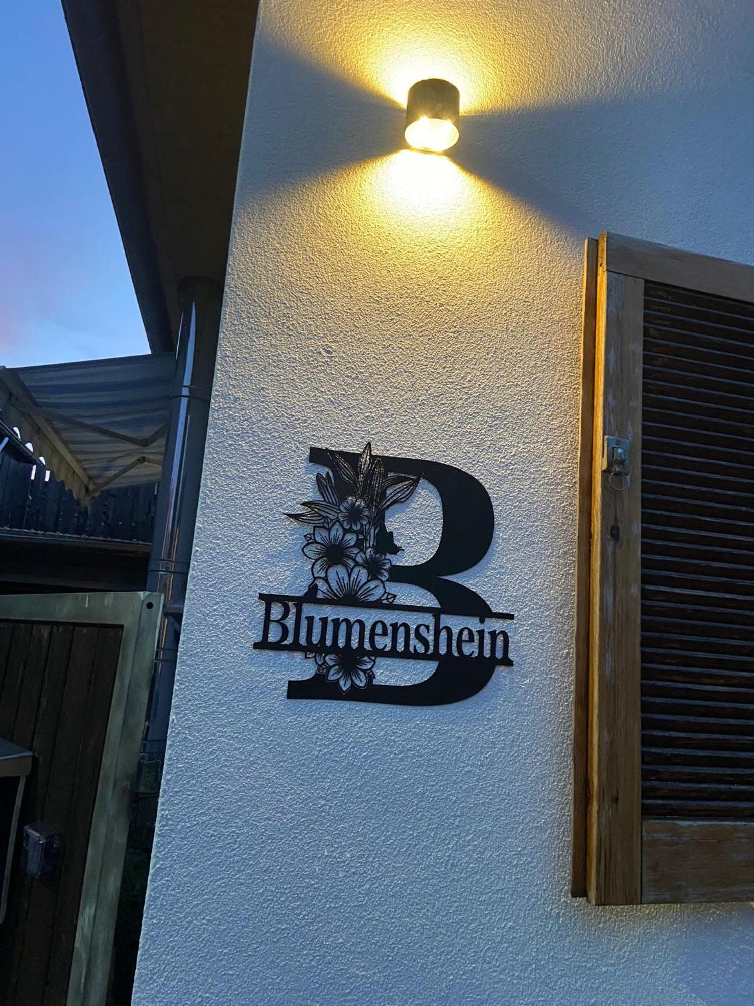 Ferienwohnung Blumenshein Bei Speyer Karlsruhe Familienfreundlich 5 Pers Zeiskam Exterior photo